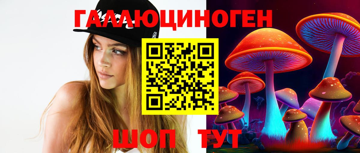 Галлюциногенные грибы GOLDEN TEACHER  даркнет сайт  Псилоцибиновые грибы Psilocybine cubensis  Можайск  Вход с VPN 